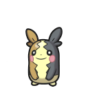 モルペコ (まんぷくもよう)